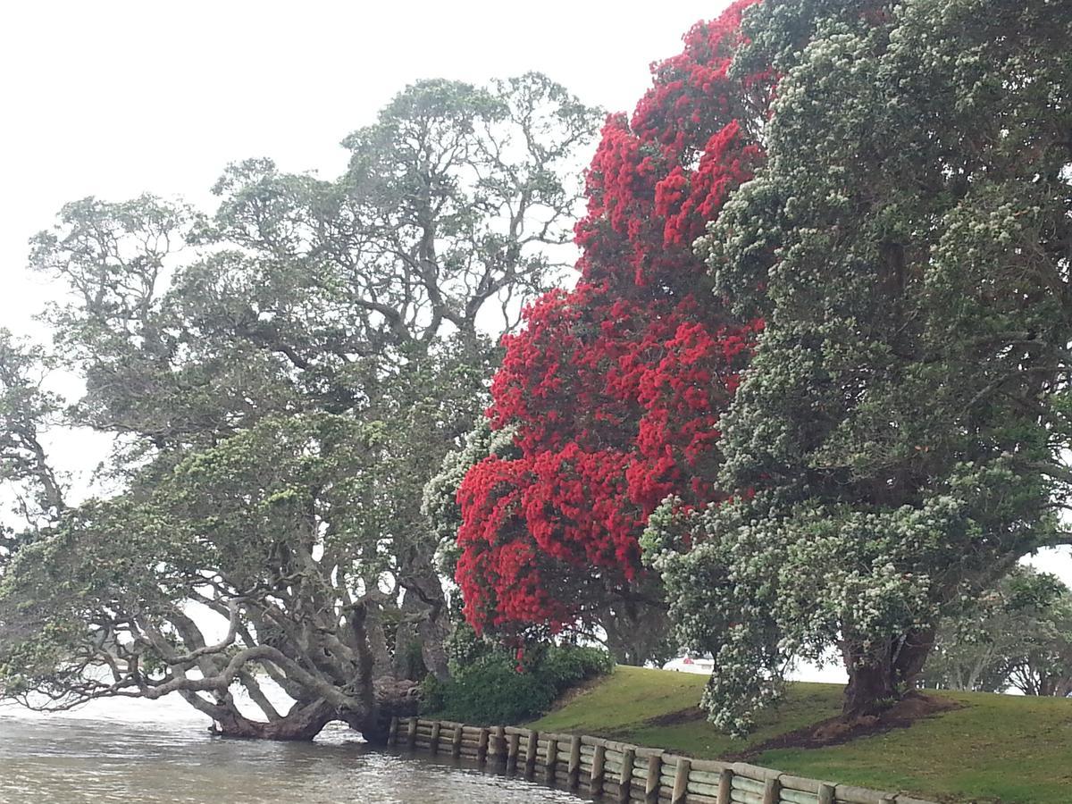 Athenree Hot Springs & Holiday Park Waihi Esterno foto