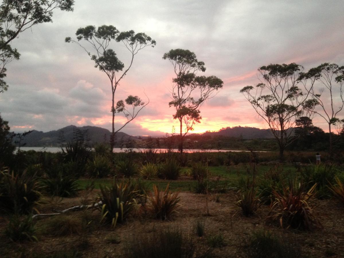 Athenree Hot Springs & Holiday Park Waihi Esterno foto
